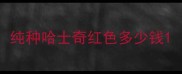 纯种哈士奇红色多少钱