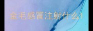 金毛感冒注射什么