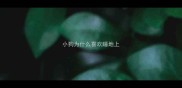 小狗为什么喜欢睡地上