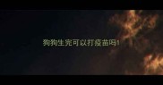 狗狗生完可以打疫苗吗