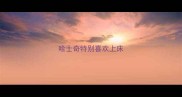 哈士奇特别喜欢上床