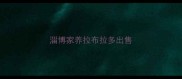 淄博家养拉布拉多出售