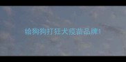给狗狗打狂犬疫苗品牌