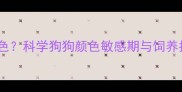 哈士奇忌讳什么颜色科学狗狗颜色敏感期与饲养指南附避雷清单
