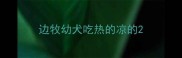 边牧幼犬吃热的凉的