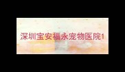 深圳宝安福永宠物医院