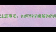 哈士奇吃消食片注意事项如何科学缓解狗狗积食与胃胀问题