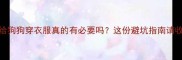 夏天给狗狗穿衣服真的有必要吗这份避坑指南请收好