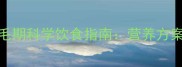 边境牧羊犬换毛期科学饮食指南营养方案与护理要点全