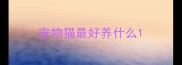 宠物猫最好养什么