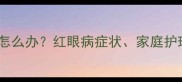 猫咪眼睛发红睁不开怎么办红眼病症状家庭护理与专业治疗全指南