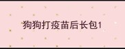 狗狗打疫苗后长包