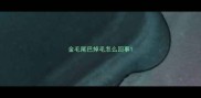 金毛尾巴掉毛怎么回事