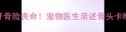 幼犬误吞磨牙骨险丧命宠物医生亲述骨头卡喉黄金救援指南