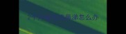 2个月金毛流鼻涕怎么办