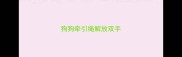 狗狗牵引绳解放双手