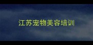 江苏宠物美容培训