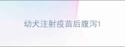 幼犬注射疫苗后腹泻
