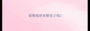 宠物做绝育要多少钱