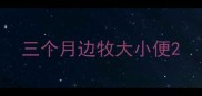 三个月边牧大小便