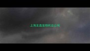 上海友鑫宠物托运公司