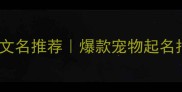 狗狗英文名推荐爆款宠物起名指南