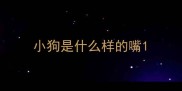 小狗是什么样的嘴