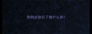 狗狗皮肤烂了擦什么药