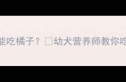 金毛幼犬能不能吃橘子幼犬营养师教你吃出健康皮毛