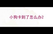 小狗卡到了怎么办