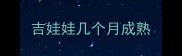 吉娃娃几个月成熟