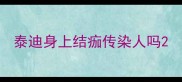 泰迪身上结痂传染人吗
