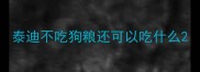 泰迪不吃狗粮还可以吃什么