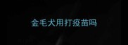 金毛犬用打疫苗吗