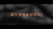 建文宠物美容学校