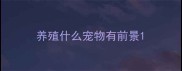 养殖什么宠物有前景