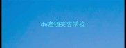 dm宠物美容学校