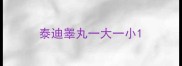 泰迪睾丸一大一小