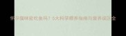 怀孕猫咪能吃鱼吗5大科学喂养指南与营养误区全