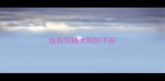 给狗狗晒太阳好不好