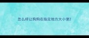 怎么样让狗狗在指定地方大小便