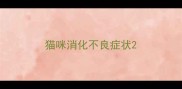 猫咪消化不良症状