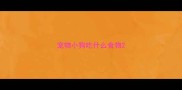 宠物小狗吃什么食物