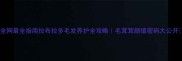 全网最全指南拉布拉多毛发养护全攻略毛茸茸颜值密码大公开