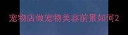 宠物店做宠物美容前景如何