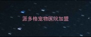 派多格宠物医院加盟