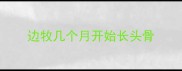 边牧几个月开始长头骨