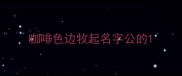 咖啡色边牧起名字公的