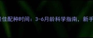 中型犬最佳配种时间3-6月龄科学指南新手必看