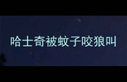 哈士奇被蚊子咬狼叫
